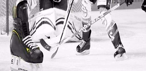 HOKEY MALZEMELERİ